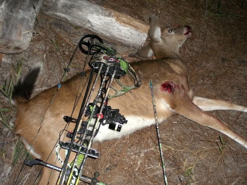 Rage broadheads tested on crossbow at 400 fps Archery Talk Forum