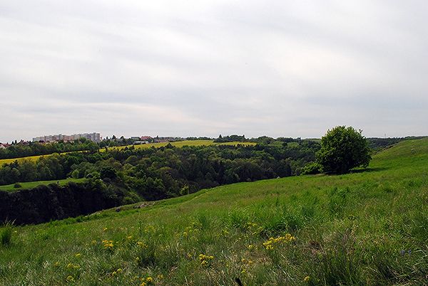 photo DSC_0294.jpg