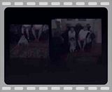 c7335de1.mp4 video by jukeboxguy