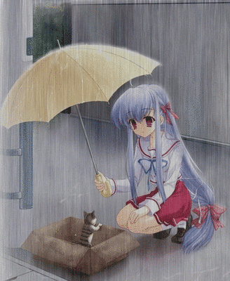 Grey Rain Pictures, Images and Photos