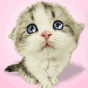crying cats photo: Blue Tears BlueTears.gif