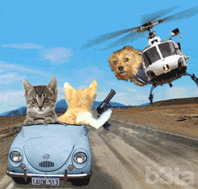 Thelma & Louise Pictures, Images and Photos