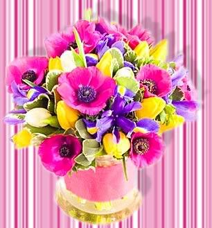 Flowers  Mother on Flowers    Mother S Day Picture By Lee1959   Photobucket