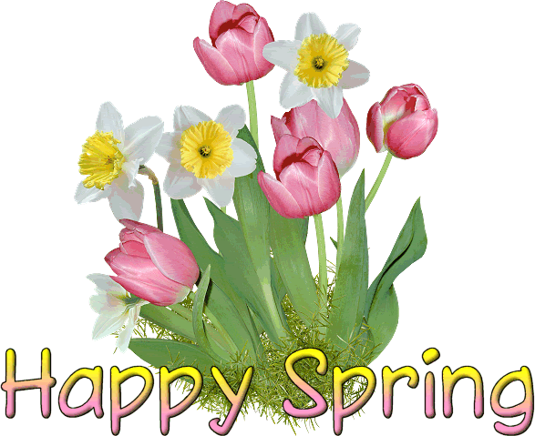 Spring Cheer Pictures, Images and Photos