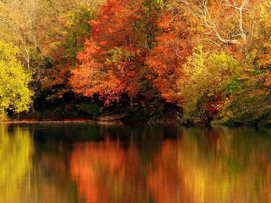 autumn trees photo: Autumn Reflections AutumnReflections.jpg