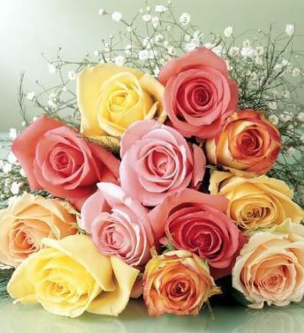 bouquet of roses Pictures, Images and Photos
