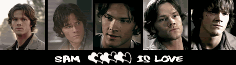 Sam is Love