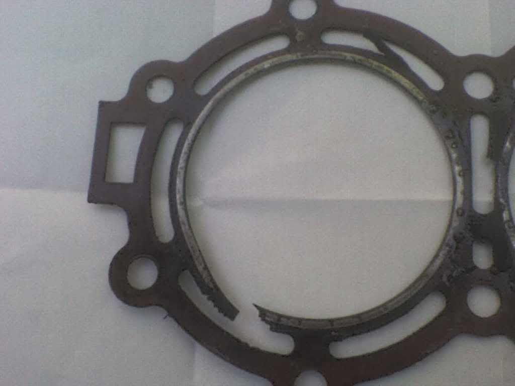 DSC00048.jpg