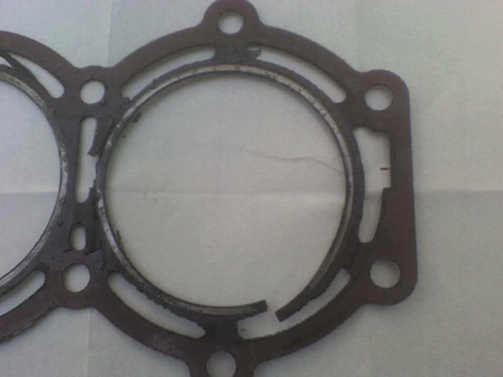 DSC00049.jpg