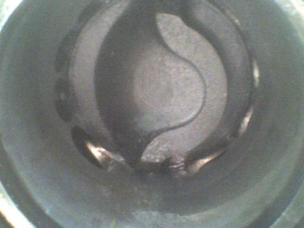 DSC00057.jpg