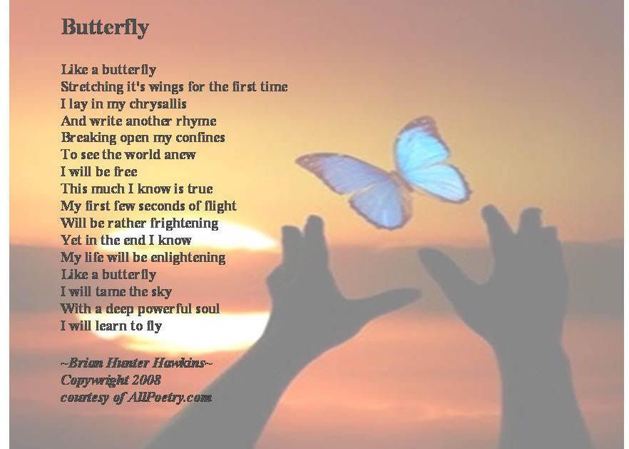Butterfly_edited.jpg Butterfly image by RhondaL13