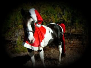 HPIM1397.jpg Merry Christmas image by brathorse65