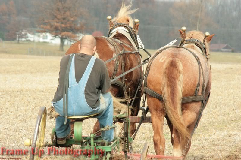 DottieQueenPlowing028.jpg