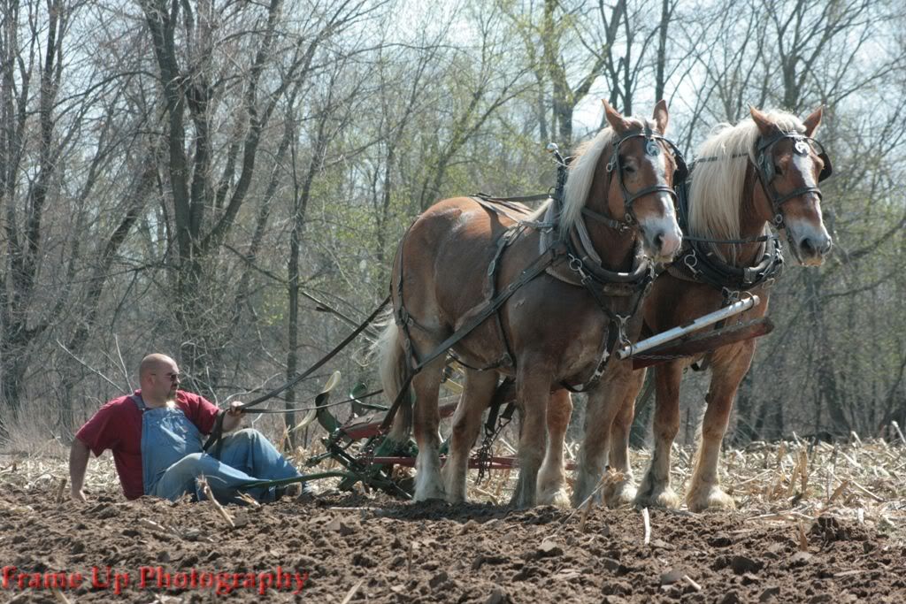 PlowingwiththeHorses091.jpg