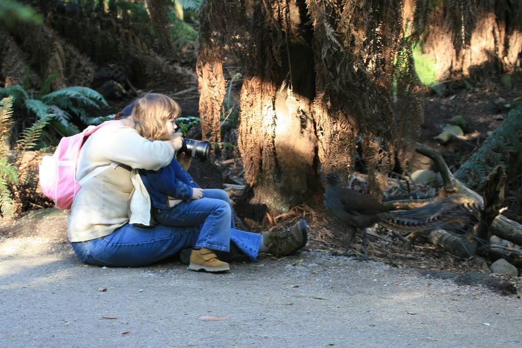 IMAGE: http://i201.photobucket.com/albums/aa128/bobthefish_album/IMG_0708_edited-1.jpg