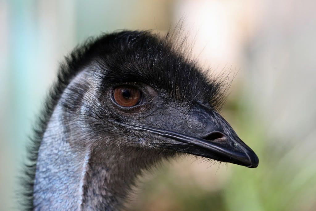 IMAGE: http://i201.photobucket.com/albums/aa128/bobthefish_album/IMG_9753_edited-1.jpg