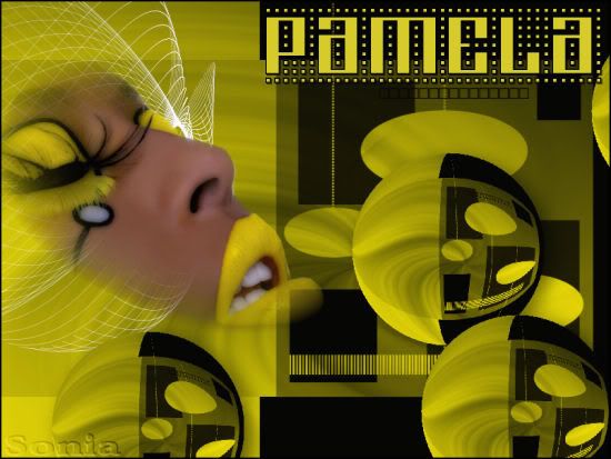 pamela0x.jpg