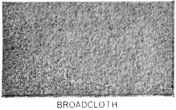 Broadclothold.jpg