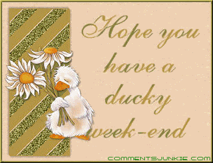 Weekend Comments