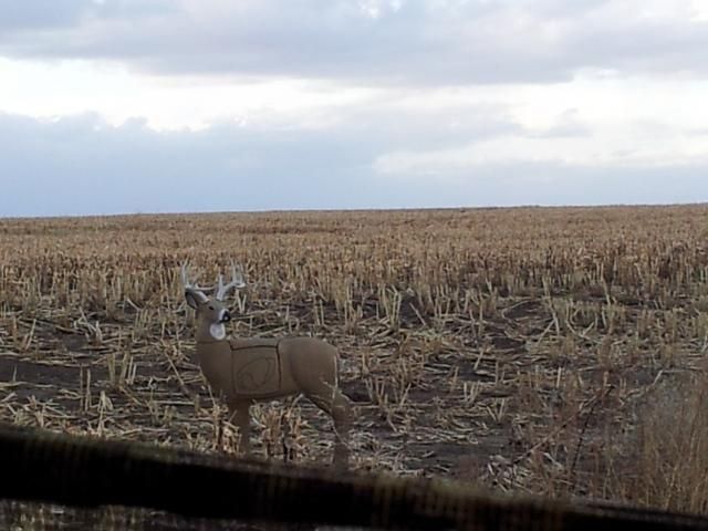 20141214Stand_zps81bd7637.jpg