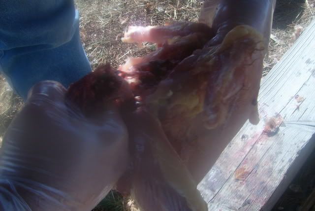 http://i201.photobucket.com/albums/aa154/jareds44m/DSCI0311.jpg