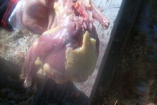 http://i201.photobucket.com/albums/aa154/jareds44m/DSCI0313.jpg