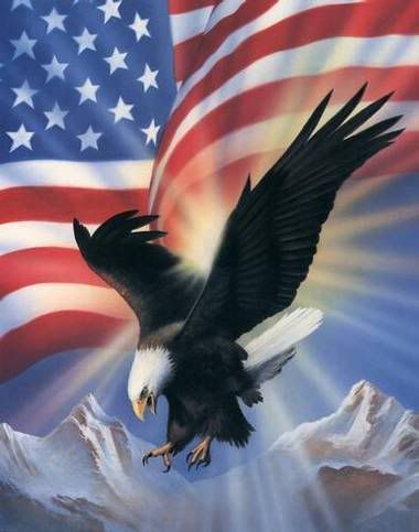 american flag eagle. American-Eagle-and-Flag--