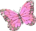 Butterfly01u4.gif picture by KissyERA