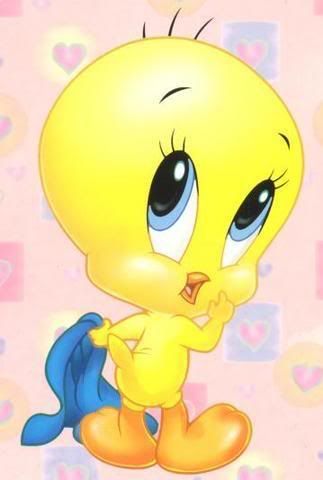 RE: looney tunes baby 12/6/2007 2:26 PM ( permalink )