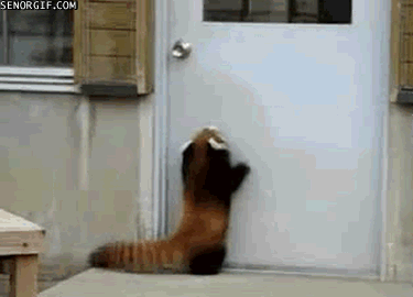 hoppingforhopep1.gif