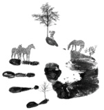 nature handprint Pictures, Images and Photos
