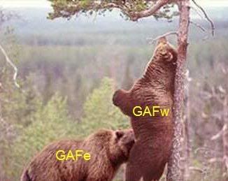 bears-gone-wild-gafw.jpg