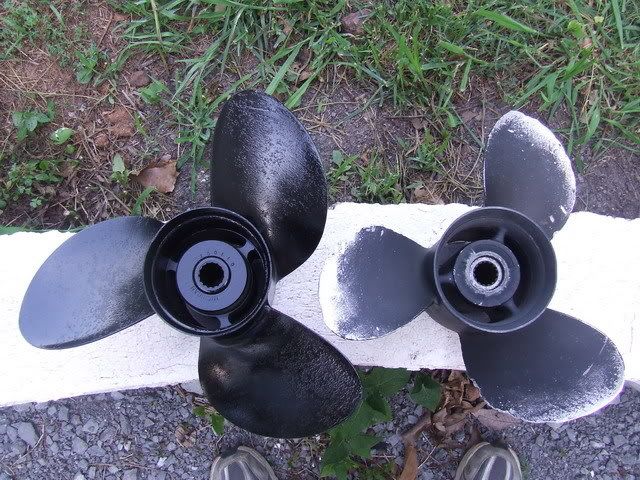 DSCF3250.jpg