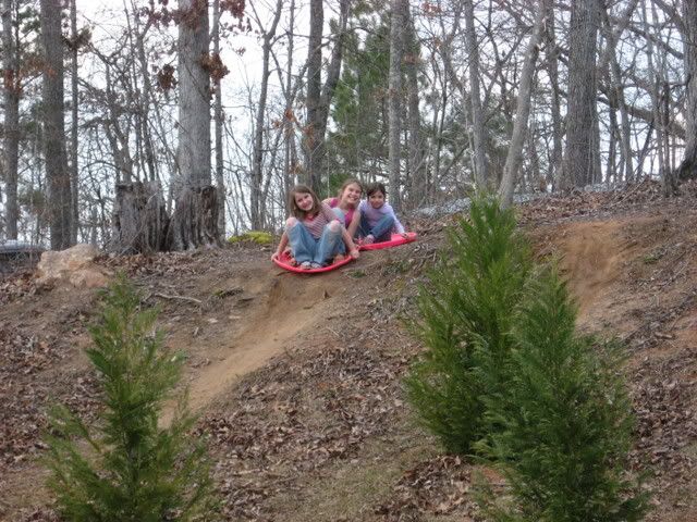 Let's see some pictures of your place... - Homesteading Questions