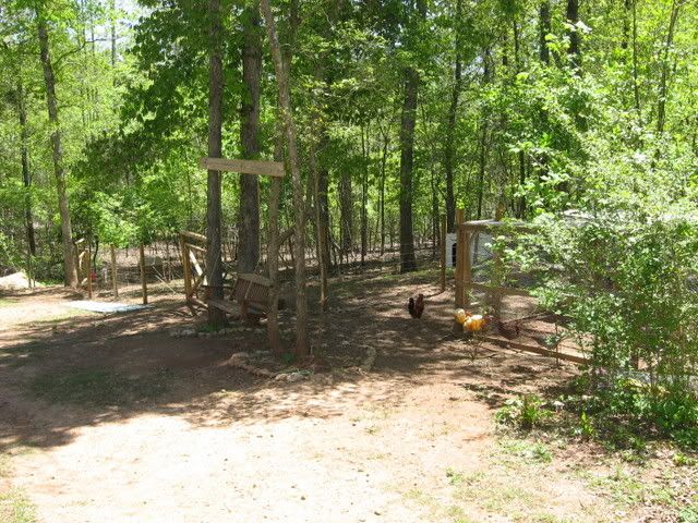 Let's see some pictures of your place... - Homesteading Questions