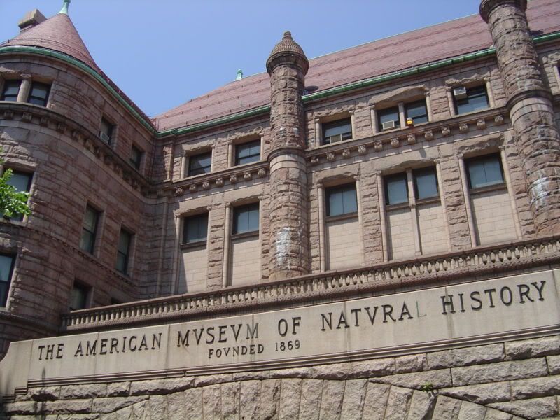 American Museum of Natural History Pictures, Images and Photos
