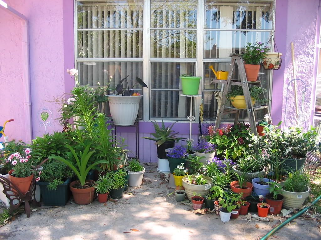 front house