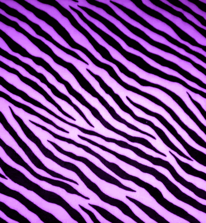 purple zebra painting