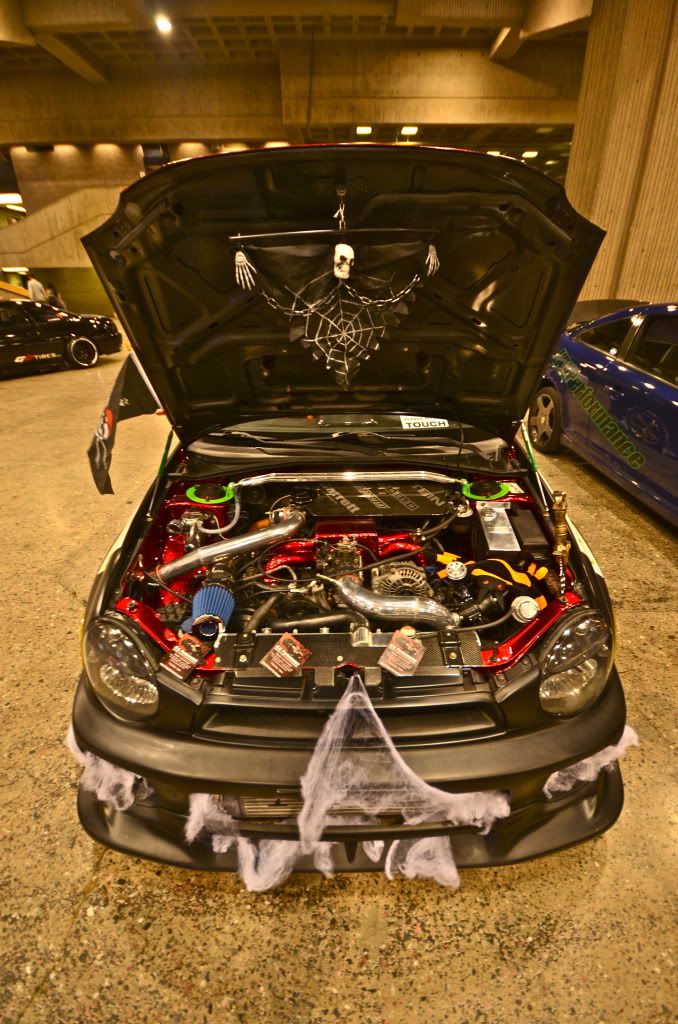 DSC_2773.jpg