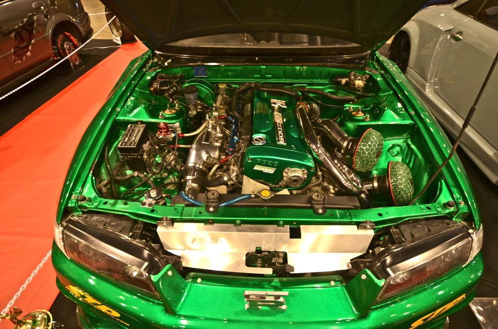DSC_2813.jpg