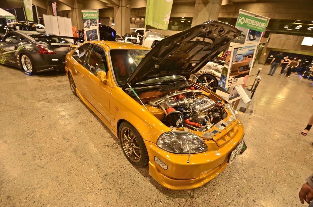 DSC_2837.jpg