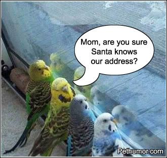 Santa! Pictures, Images and Photos