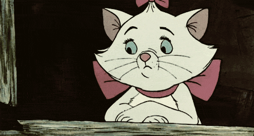 photo tumblr_lsvor1thtF1qlrzy2_zpse72420e4.gif