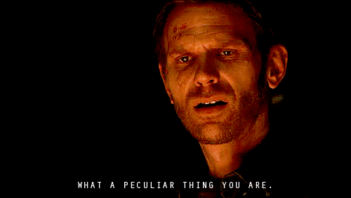 photo tumblr_n9tsguYUq61tq4of6o1_500_zps03d062cb.gif