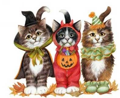 52.jpg picture by ALMASDOS