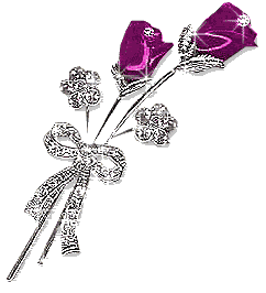 purple roses Pictures, Images and Photos