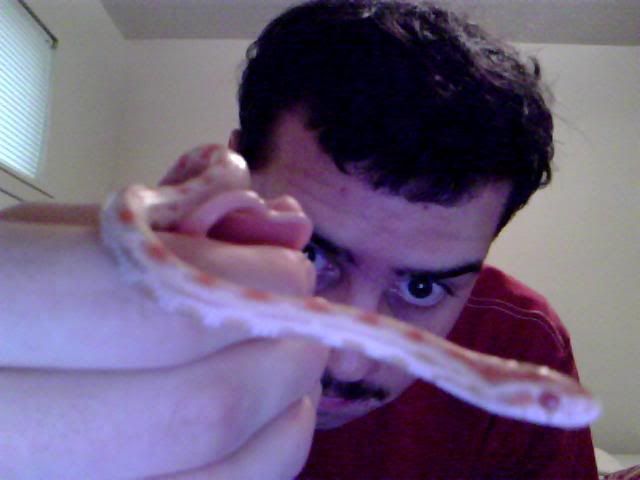 Picture034.jpg