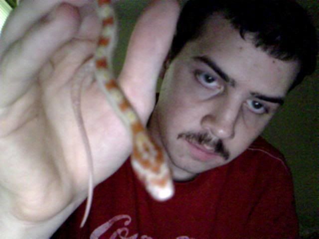 Picture038.jpg