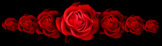 rosas2520rojas.gif picture by Graciela7288