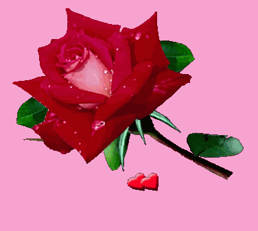 1rosas.gif picture by Graciela7288